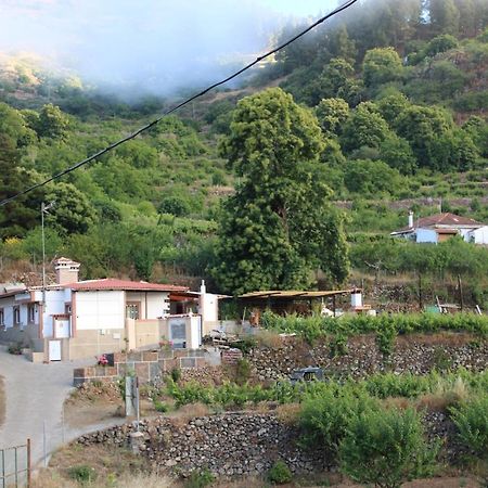 Finca El Cole Villa Лас Палмас де Гран Канария Екстериор снимка