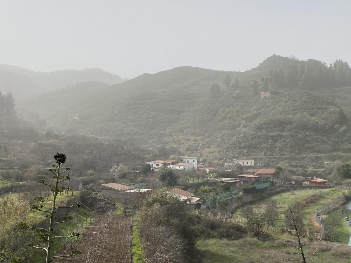 Finca El Cole Villa Лас Палмас де Гран Канария Екстериор снимка
