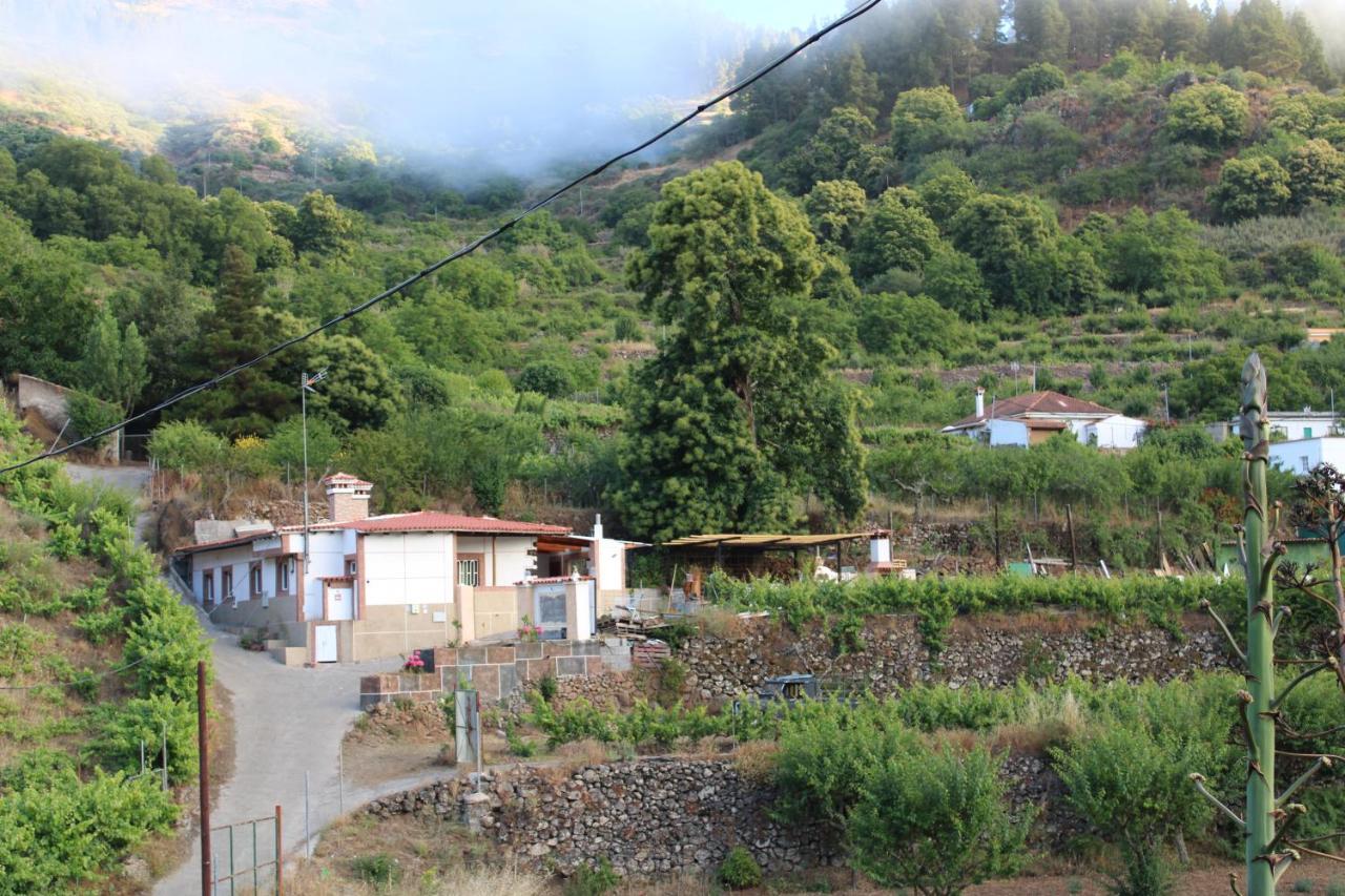 Finca El Cole Villa Лас Палмас де Гран Канария Екстериор снимка