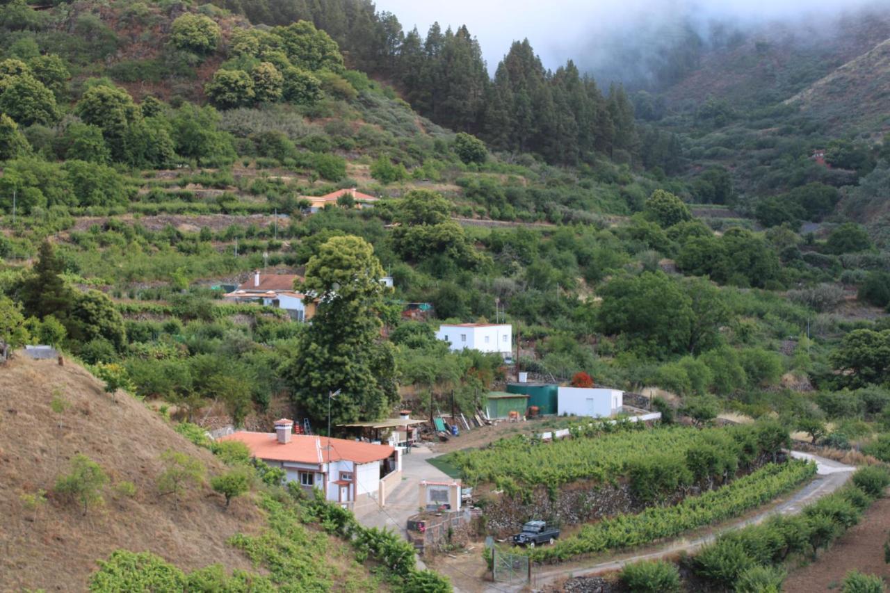 Finca El Cole Villa Лас Палмас де Гран Канария Екстериор снимка