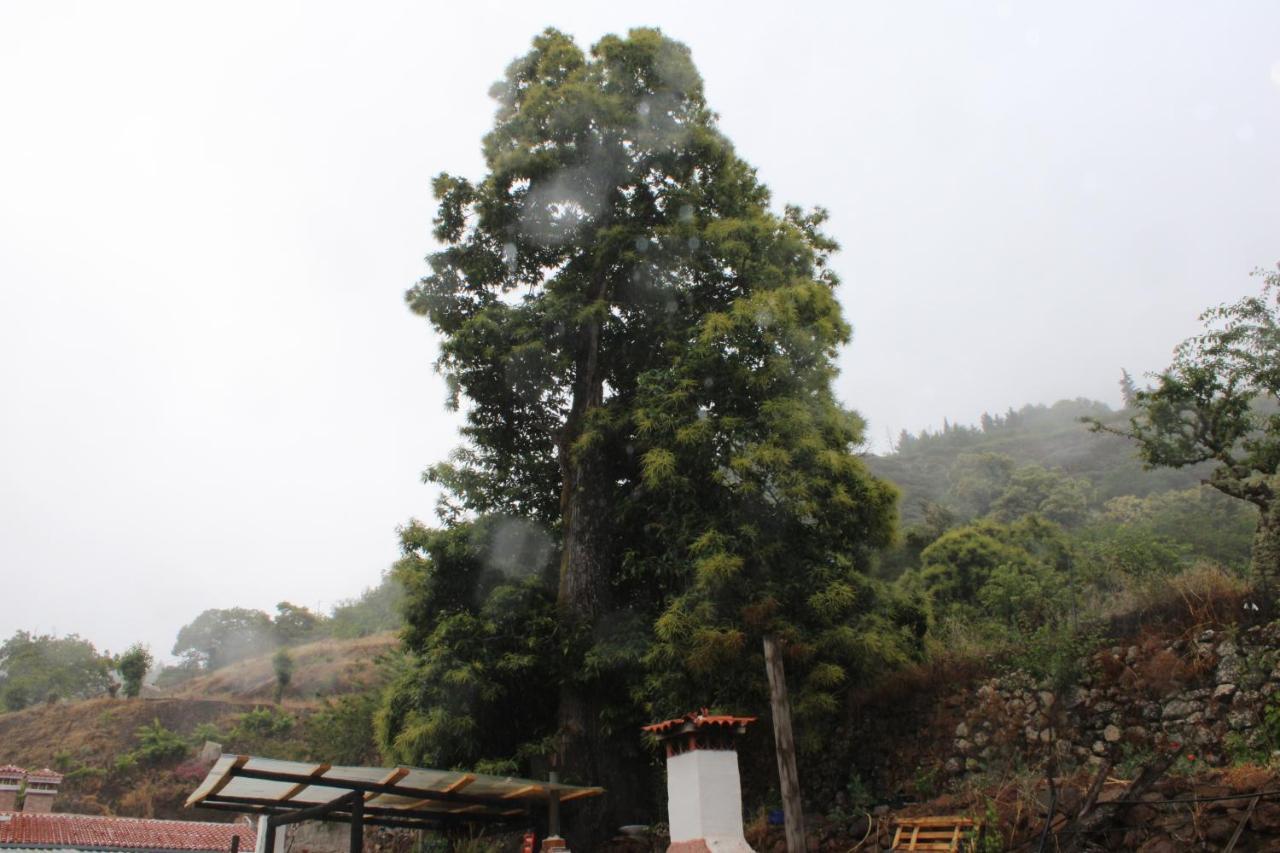 Finca El Cole Villa Лас Палмас де Гран Канария Екстериор снимка