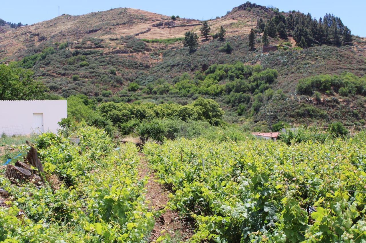 Finca El Cole Villa Лас Палмас де Гран Канария Екстериор снимка
