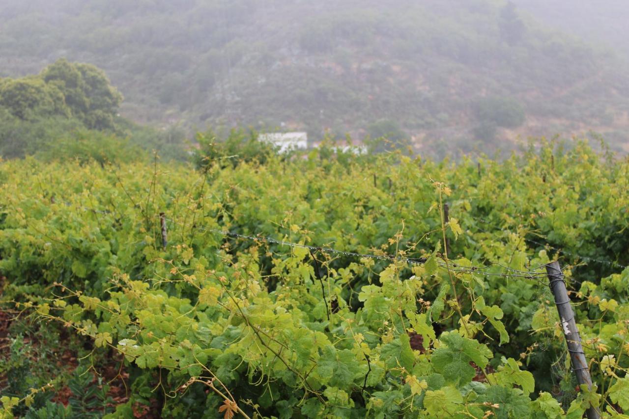 Finca El Cole Villa Лас Палмас де Гран Канария Екстериор снимка