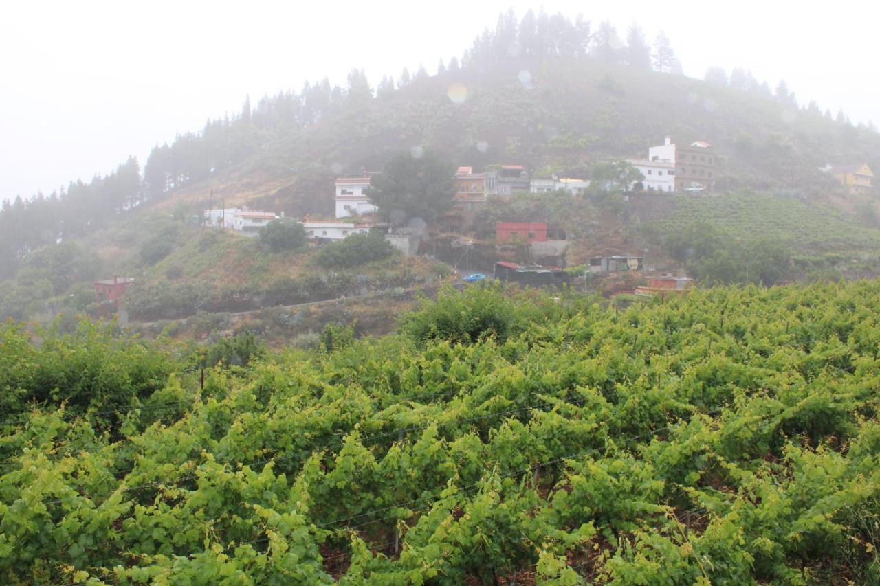 Finca El Cole Villa Лас Палмас де Гран Канария Екстериор снимка