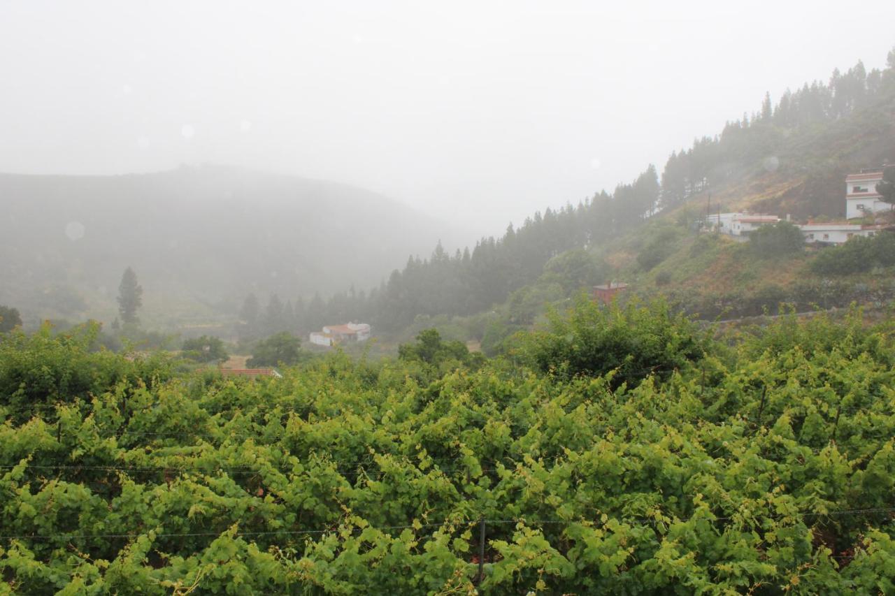 Finca El Cole Villa Лас Палмас де Гран Канария Екстериор снимка