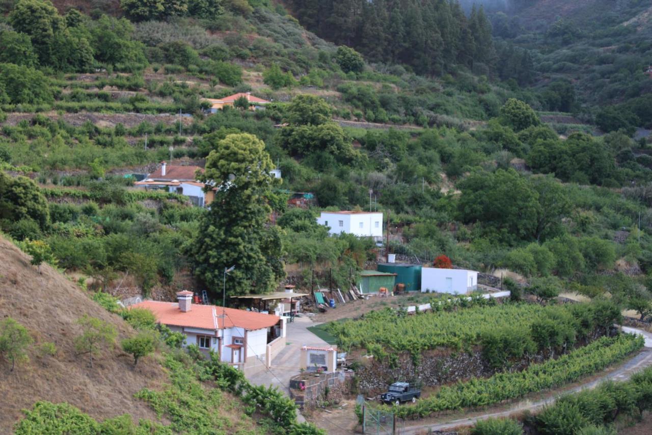 Finca El Cole Villa Лас Палмас де Гран Канария Екстериор снимка